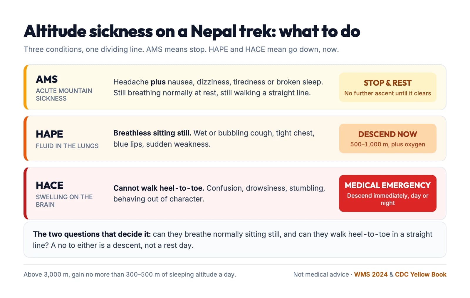 AMS means stop and rest, no further ascent. HAPE means breathless at rest, descend 500 to 1,000 m with oxygen. HACE means unable to walk heel to toe, a medical emergency requiring immediate descent day or night.